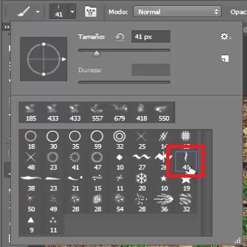 elegir pincel 41