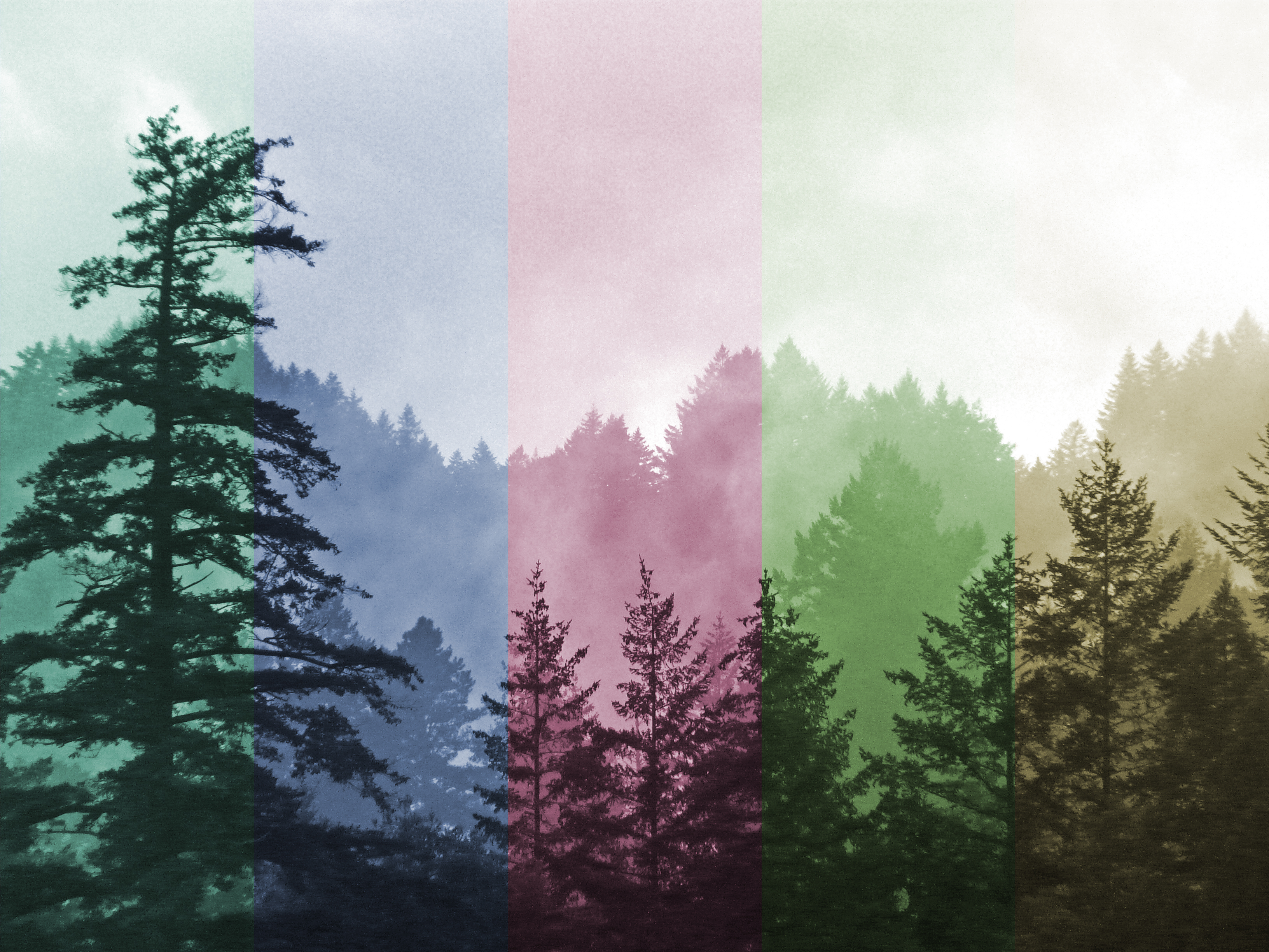 efecto fotográfico de colores resultado